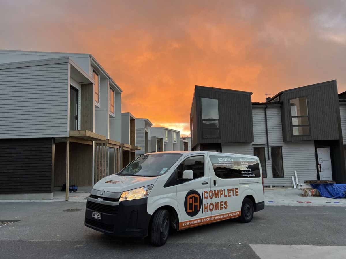 professional house painters working in Wellington